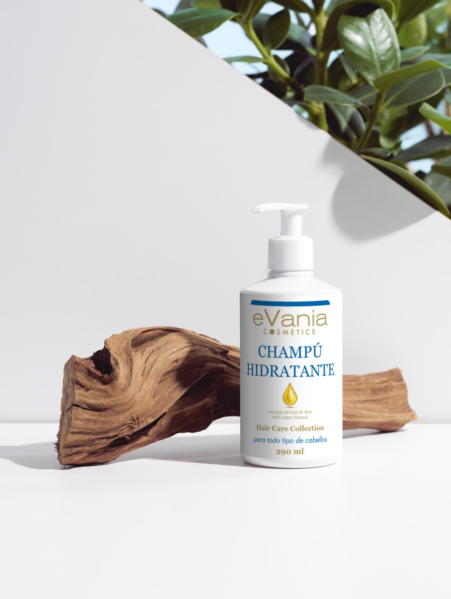 Champú Hidratante